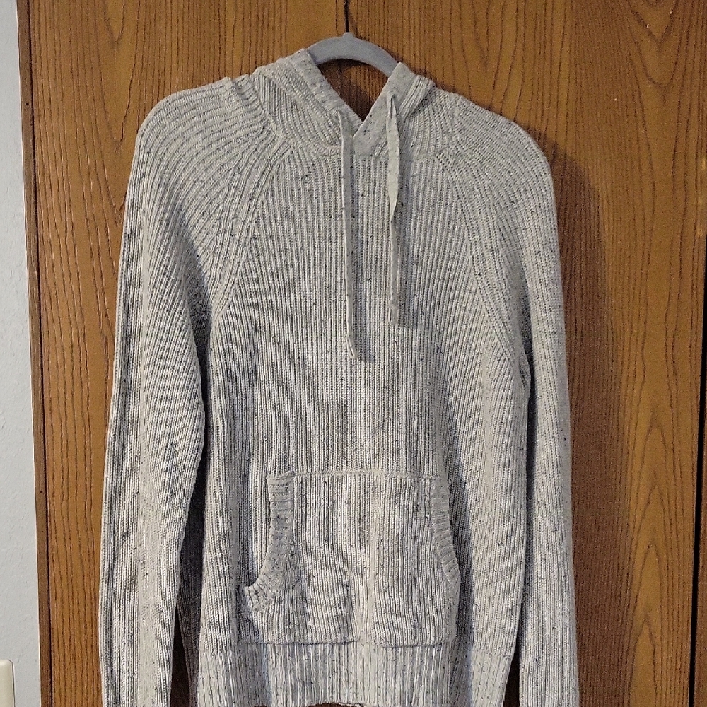 American Eagle Outfitters Light Gray Hooded Sweater